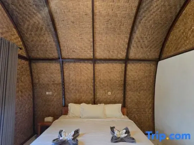 Standard room with land view