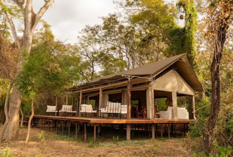 Glamping Los Palmares