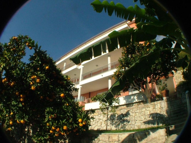 Outside