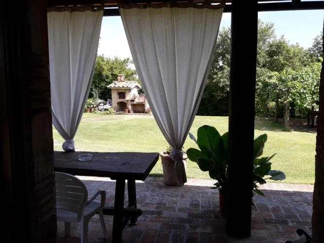 Apartment with garden view