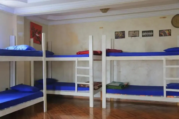Mad Vervet Hostel - Addis
