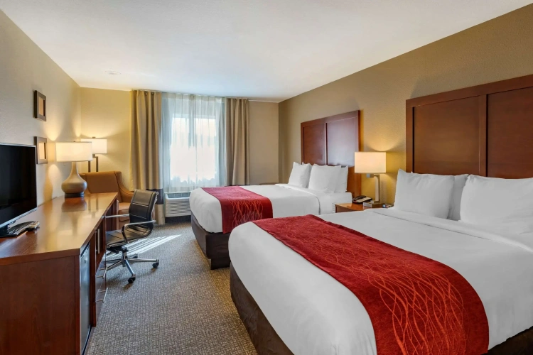 Standard Quadruple room