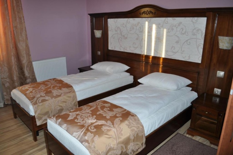 Standard Twin room with mountain view