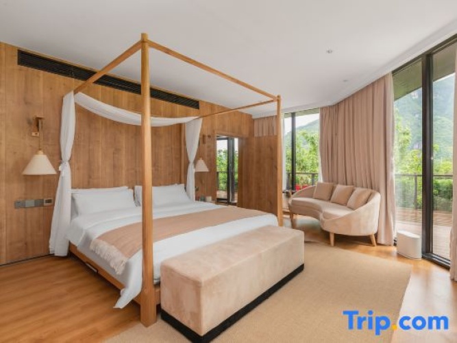 Comfort Suite