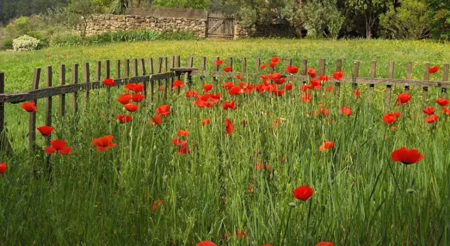 B&B Jardins de Vies