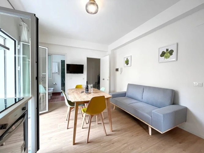 Deluxe Apartment
