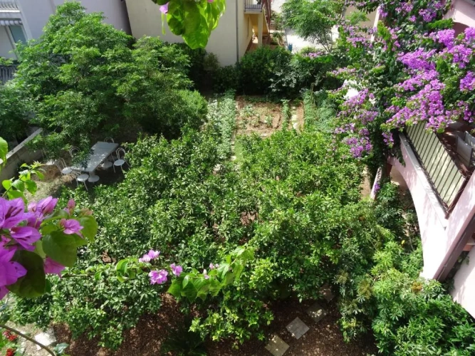 Apartment with garden view