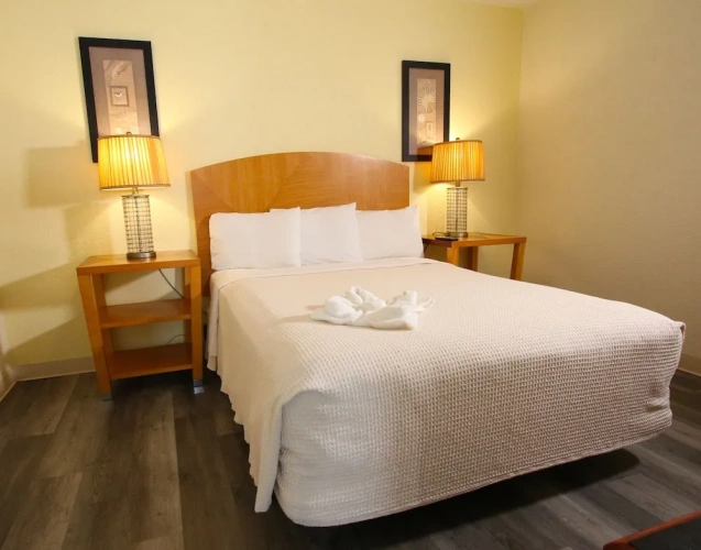 1 Bedroom Double Suite with ocean view