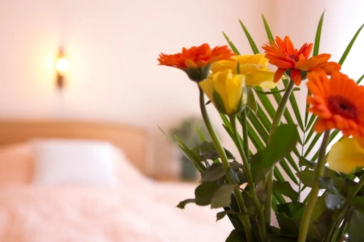 Standard Single room with balcony