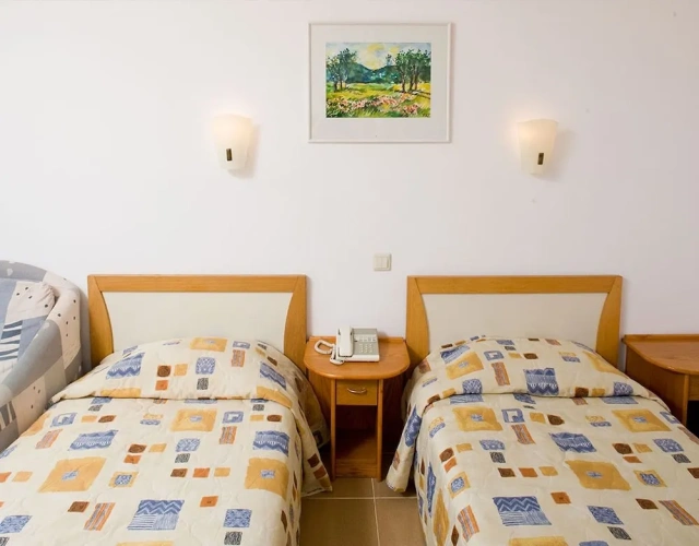 Standard Double room with balcony and with sea view