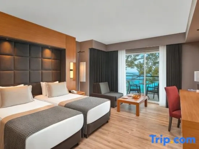 Standard Suite