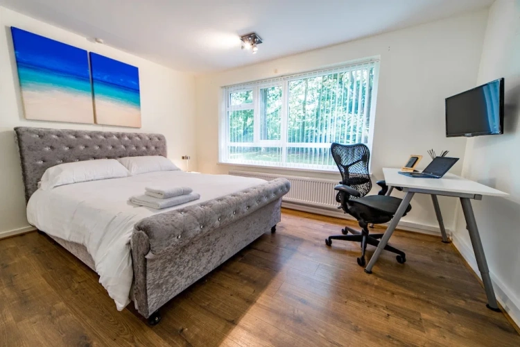 Deluxe Apartment