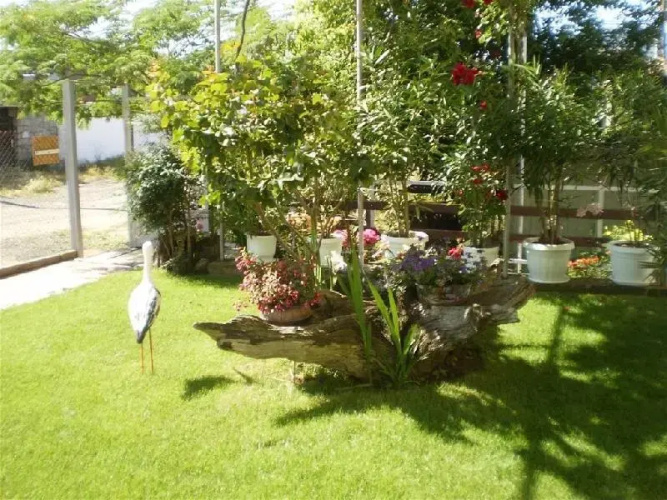 Valkanovy Guest House
