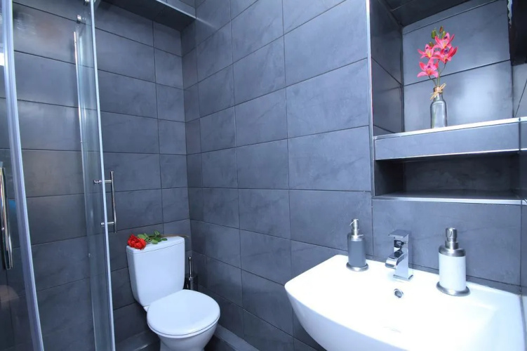 Sycamore Street Templebar Apartment