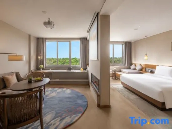 Grand Double Suite with balcony and with panoramic view