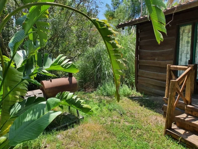 Chalet