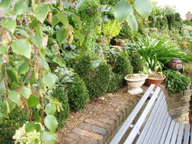 1 Bedroom Apartment with garden view