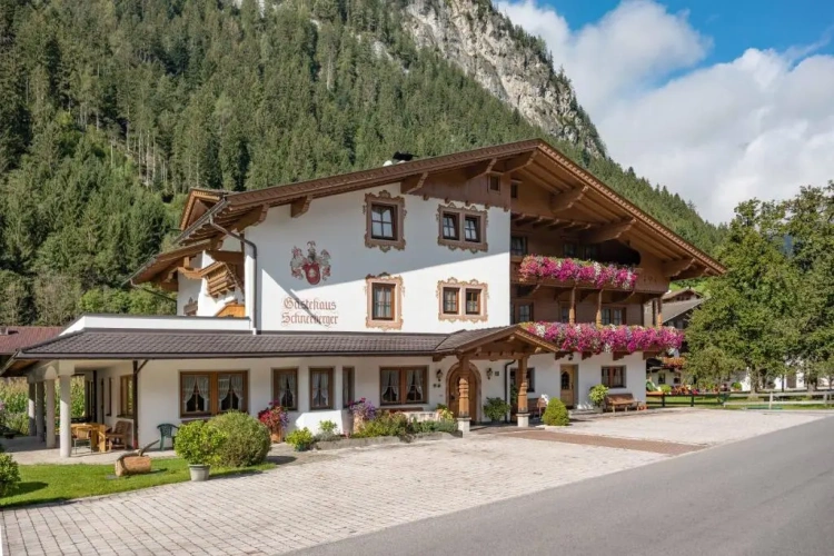Double Apartment with mountain view