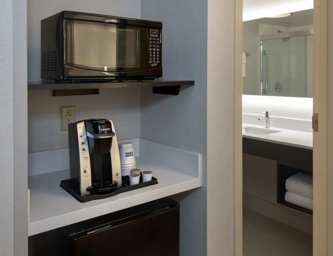 1 Bedroom Suite