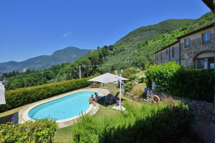 Ginepro Grillo in Camaiore