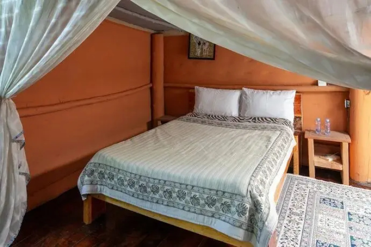Punda Milias Nakuru Camp