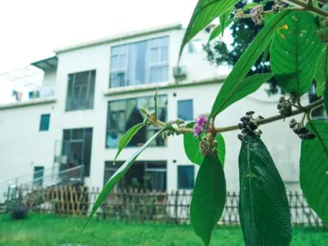 Le yeb & B (Hello Nankunshan nature school)