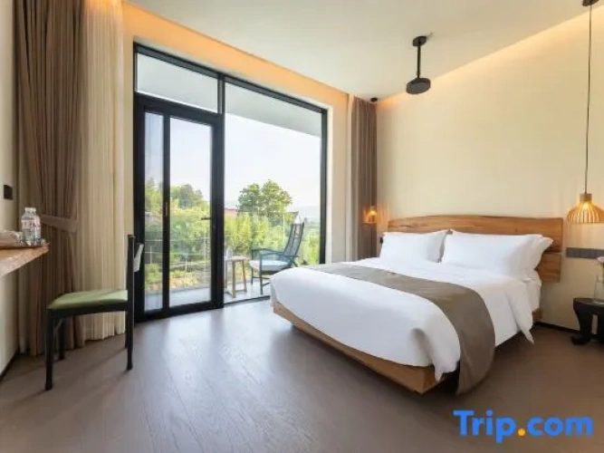 Deluxe Double room with pool view