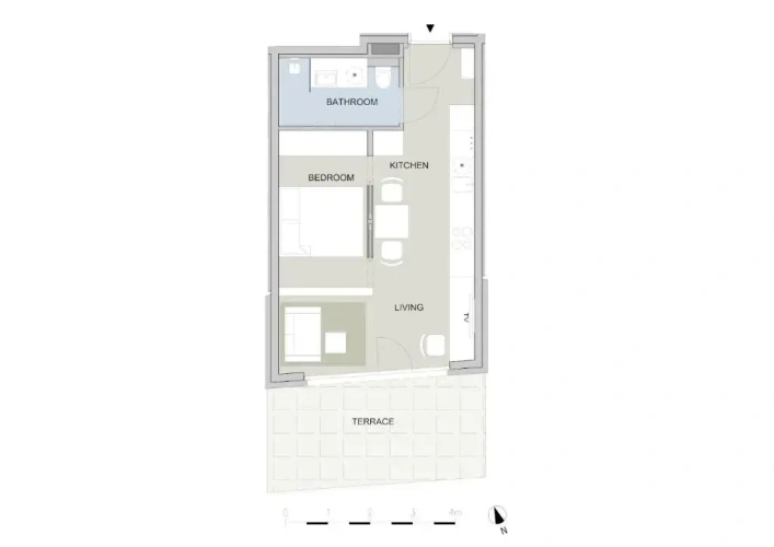 Deluxe Apartment