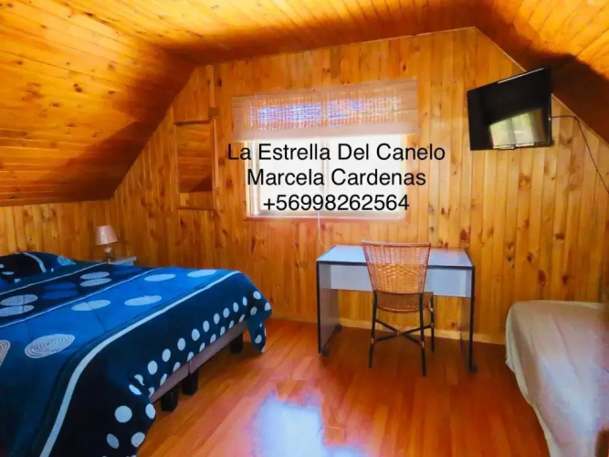 La Estrella Del Canelo
