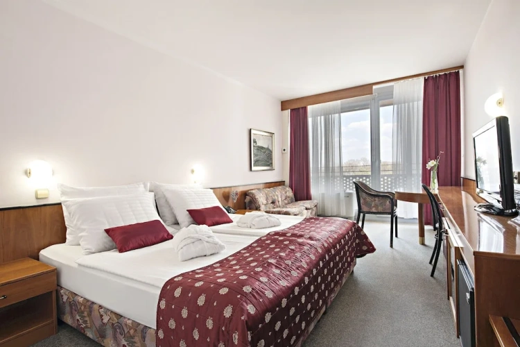 Economy Double room with park view