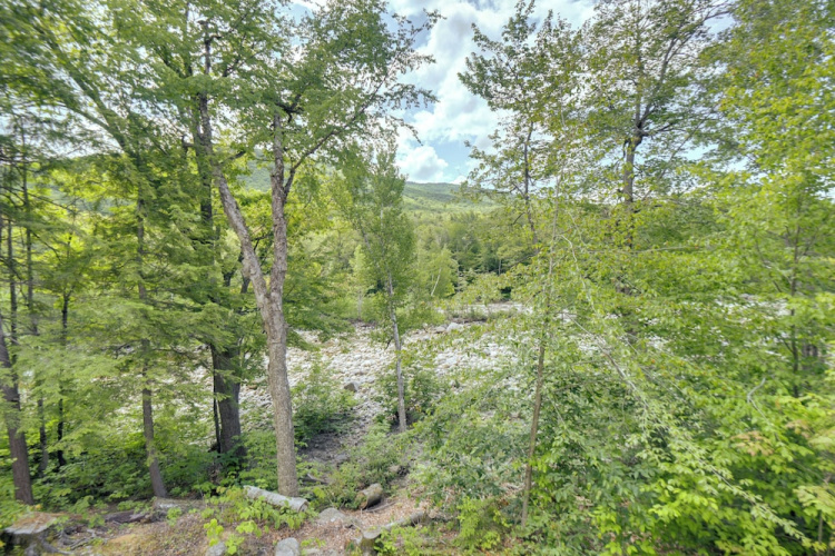 Well-appointed Lincoln Abode: Ski, Swim + Fish!