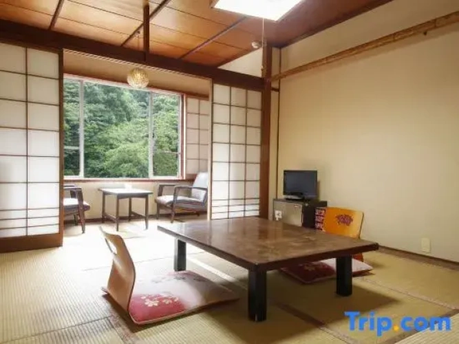 Standard room with view