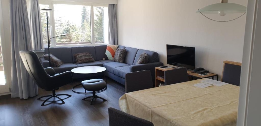 Apartment with mountain view