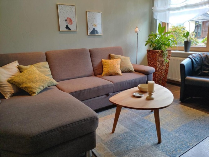 1 Bedroom Basement Apartment