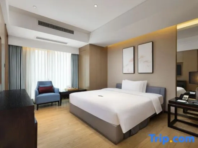 Premier Quadruple room