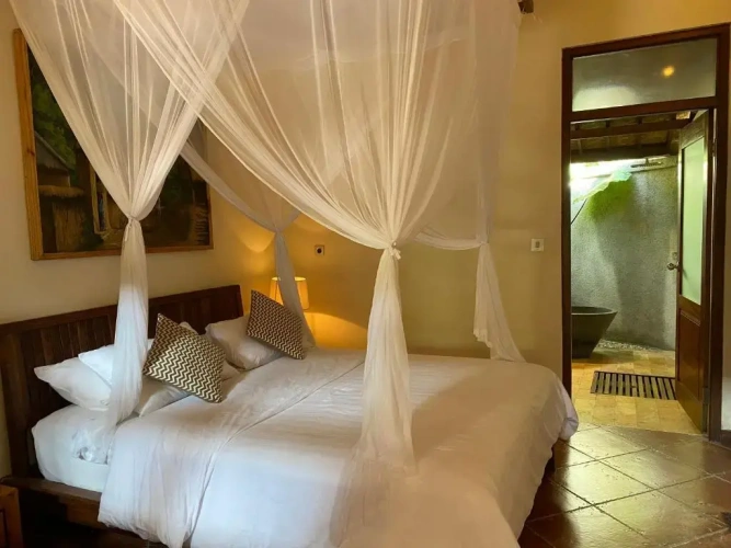 Standard Double room with pool view