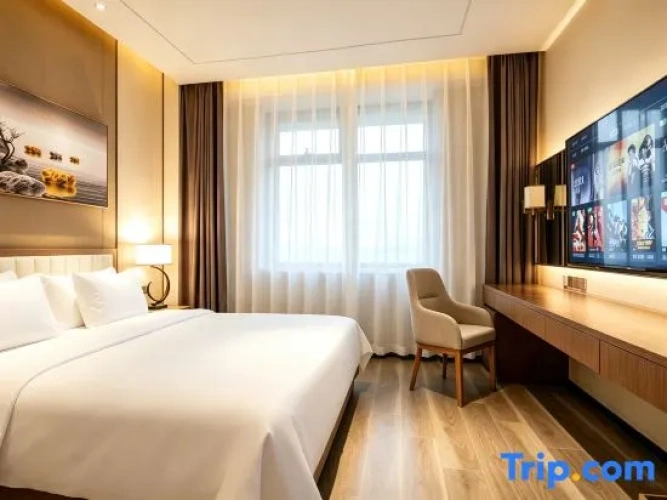 Executive Double Suite