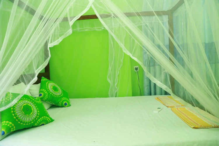 Coconut Hill Homestay