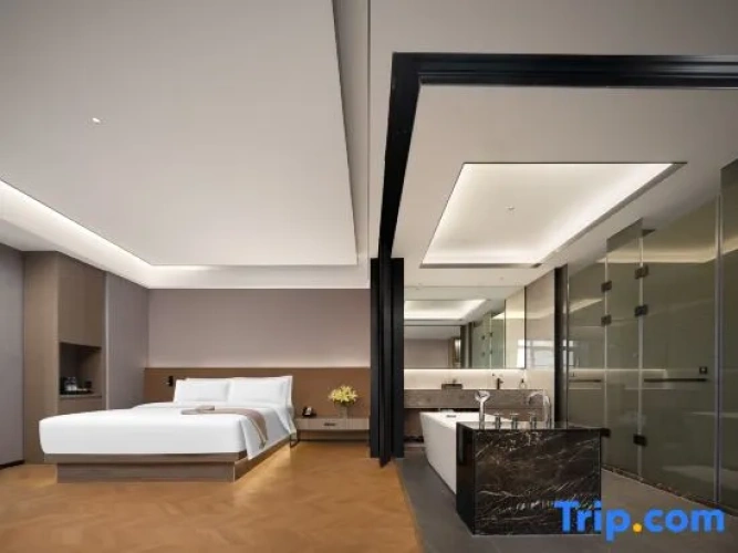 Comfort Suite