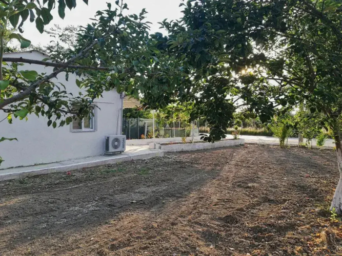 AliBaba Villa