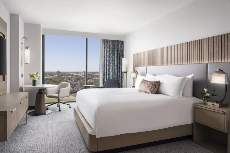 Deluxe Accessible Double room