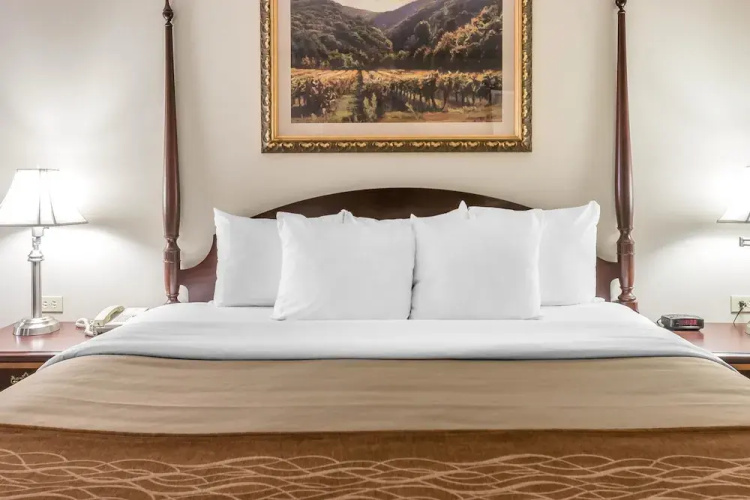 Comfort Inn Plainwell