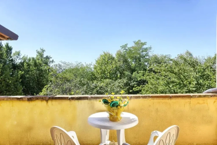 Standard Double room with garden view