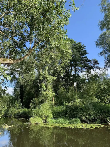 Wensum Glamping