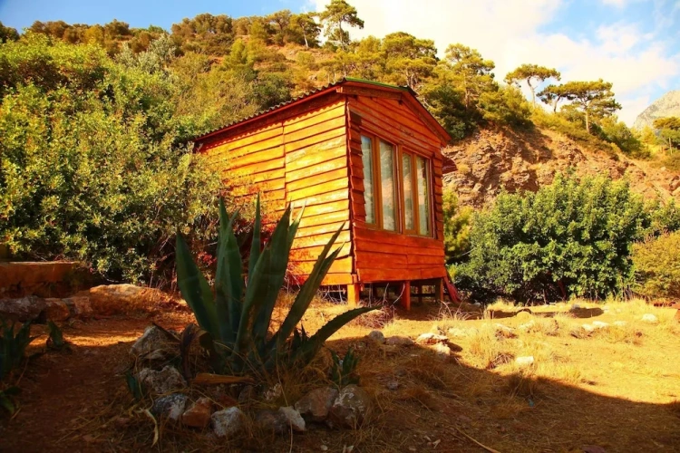 Bungalow