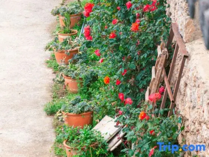 Weijianshan Homestay