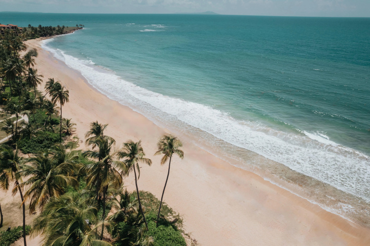Wyndham Palmas Beach & Golf Boutique Resort photo 19