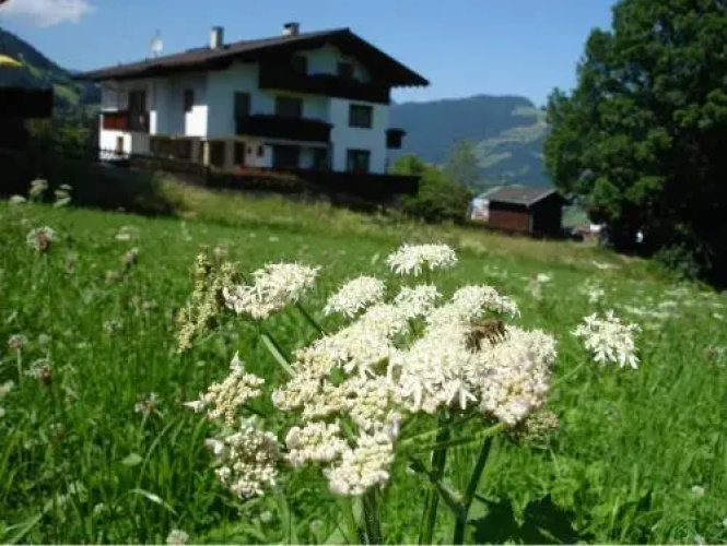 Appartement Hollaus