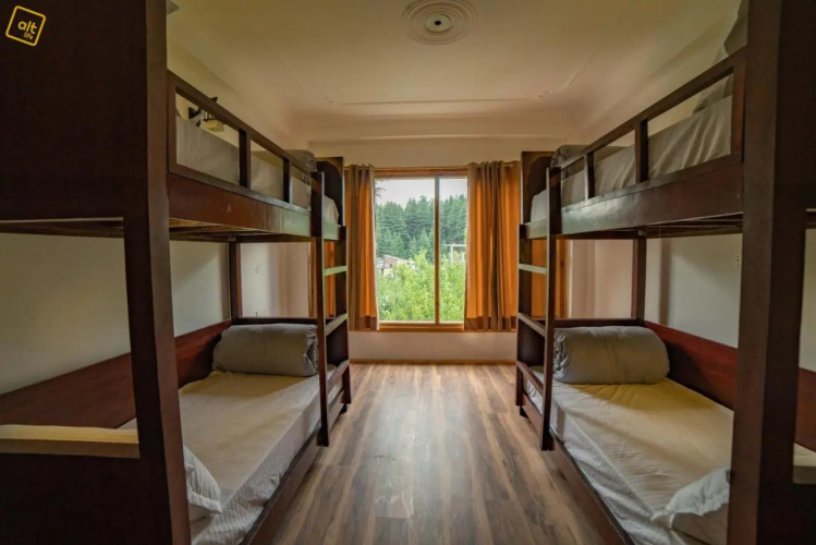 Alt Life Manali