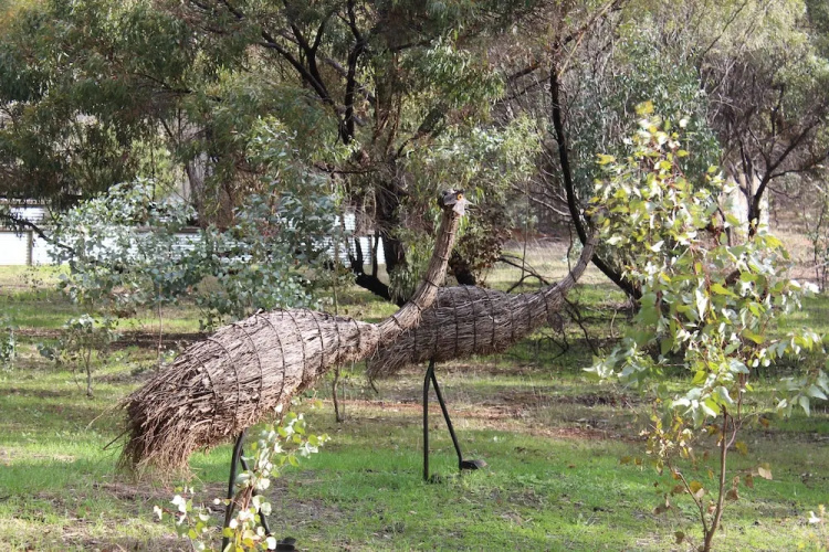 Black Wattle Retreat